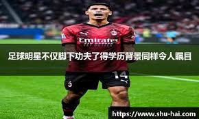 森西奥被